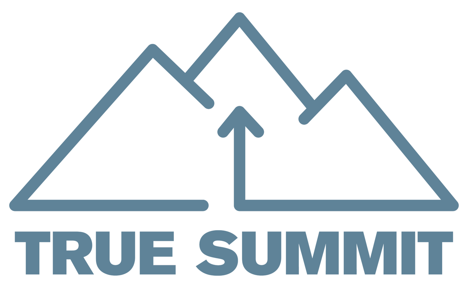 True Summit Ventures logo