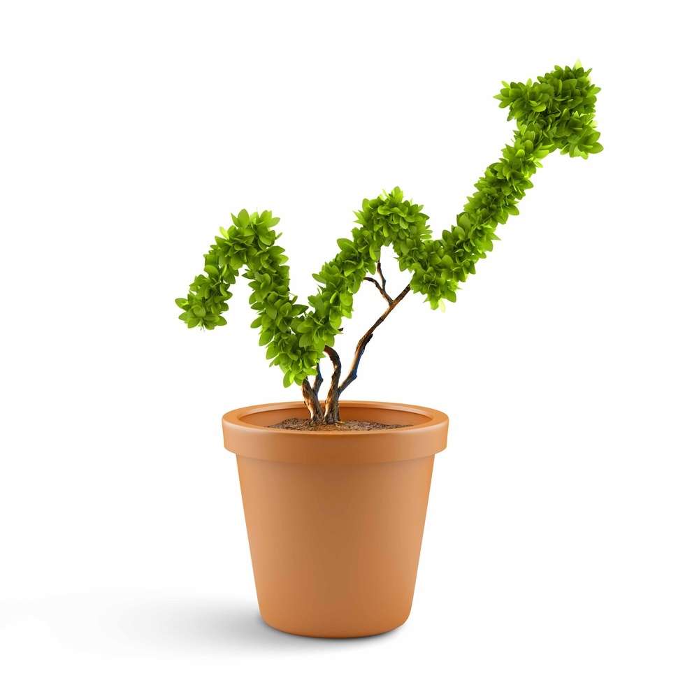 Plant in pot shaped like graph. Wealth concept